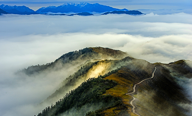 千亿·国际(中国)唯一官方平台